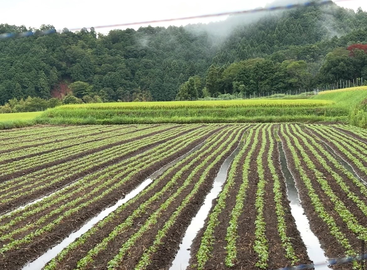 京都・福知山に広がるオオカミファームの田園風景